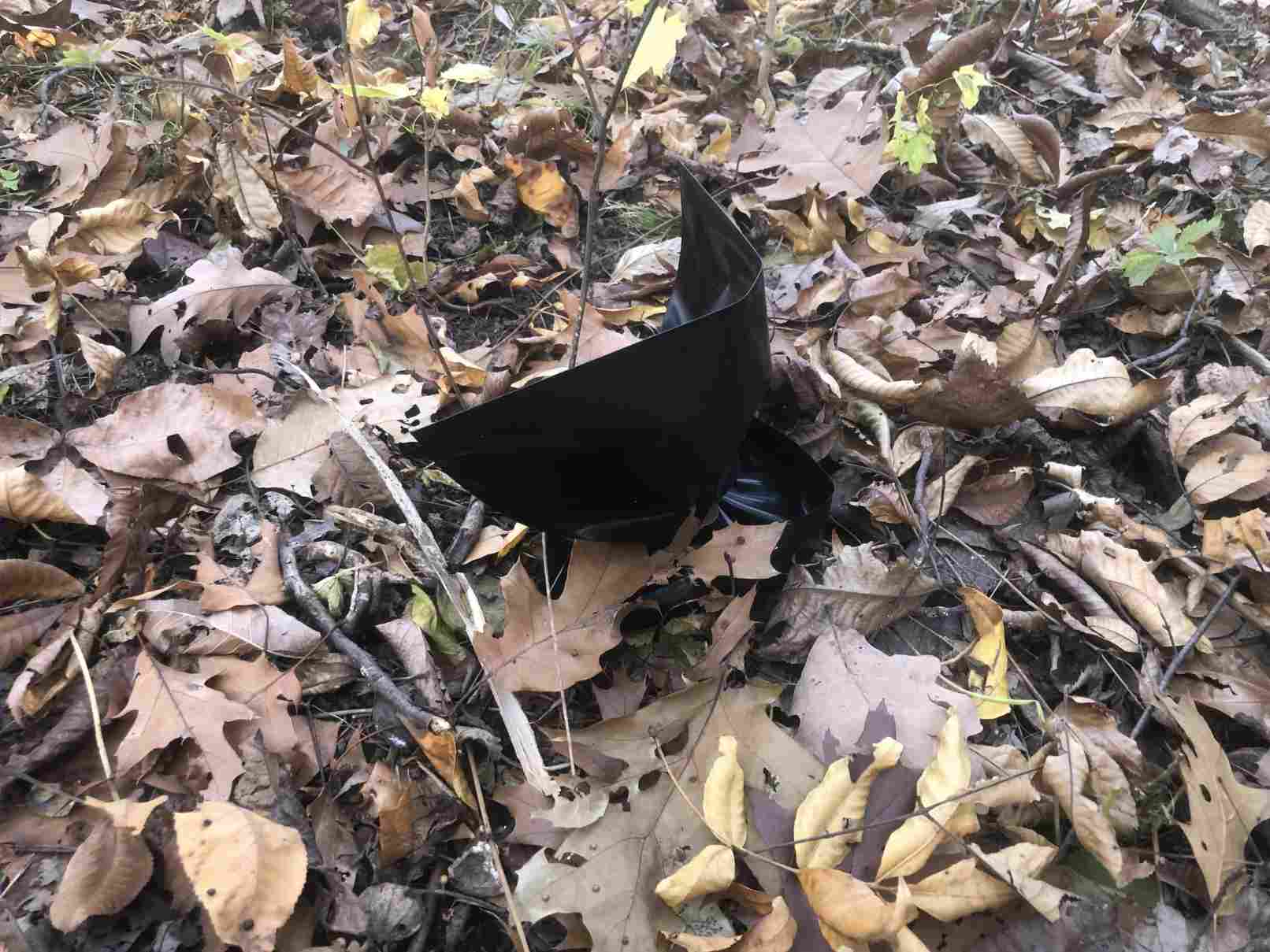 Invasive buckthorn bag