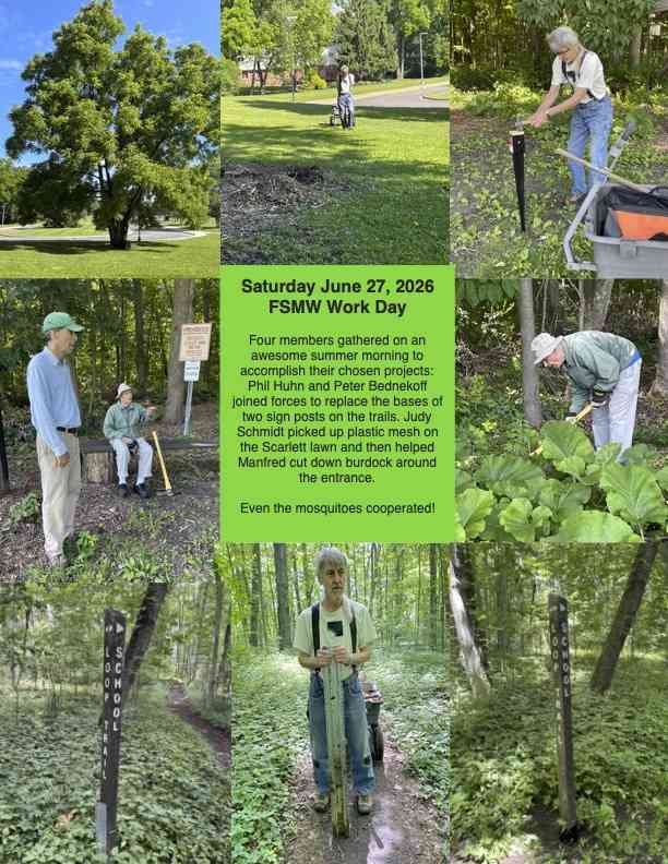 June 27, 2026 - workday collage